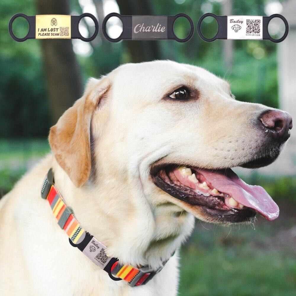 Personalized Silent Pet ID Tags for Dogs and Cats Collar QR Powered By ScanKeep